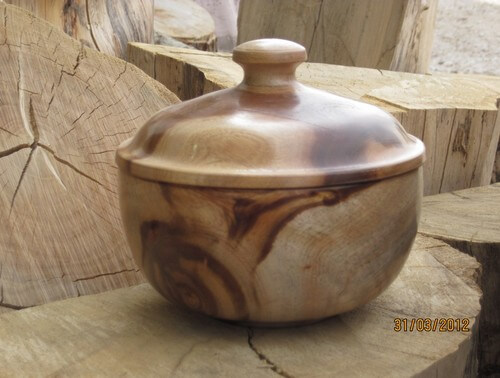 גלריית אמנות בעץ - ישראל דנאי